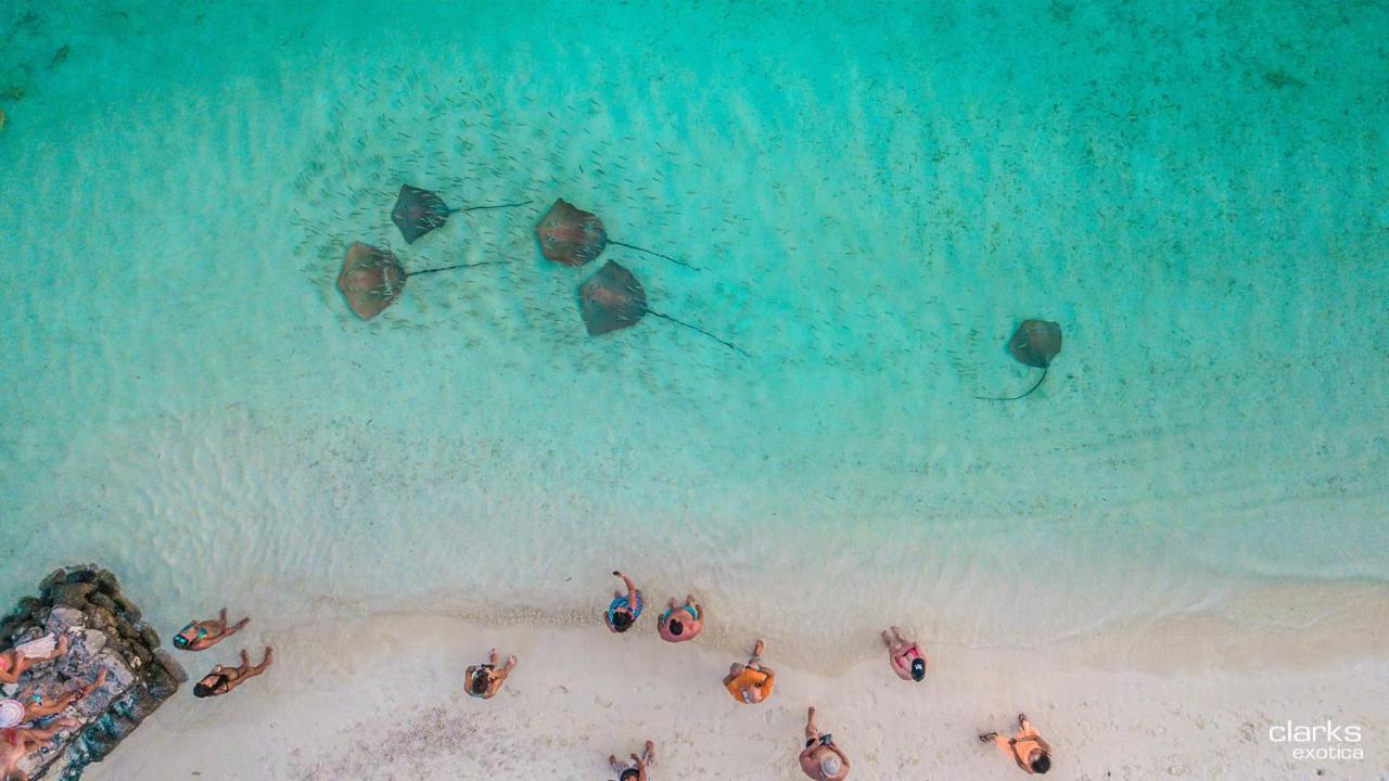 Swarn By Hawks Hotels Kamadhoo Dış mekan fotoğraf